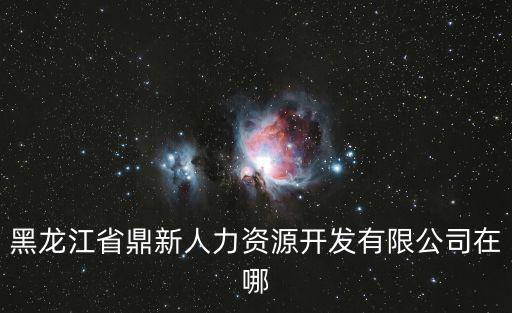 黑龍江省鼎新人力資源開發有限公司在哪