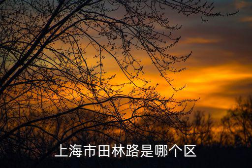 上海市田林路是哪個區