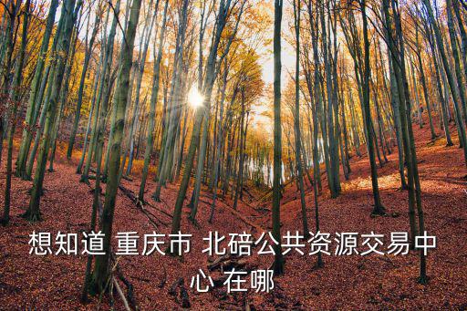 想知道 重慶市 北碚公共資源交易中心 在哪