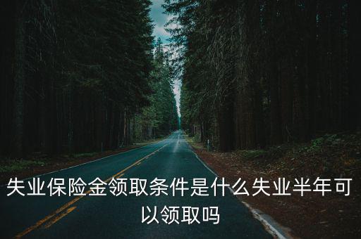 失業保險金領取條件是什么失業半年可以領取嗎
