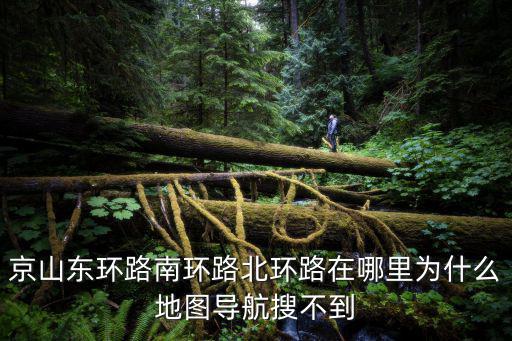 京山東環路南環路北環路在哪里為什么地圖導航搜不到