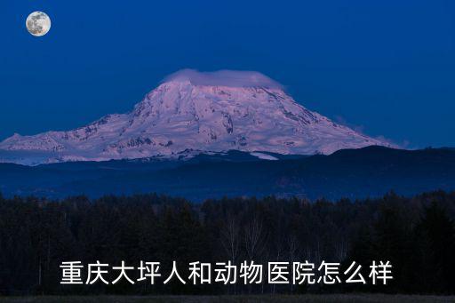 重慶人和醫院，重慶人和婦科醫院那個最好