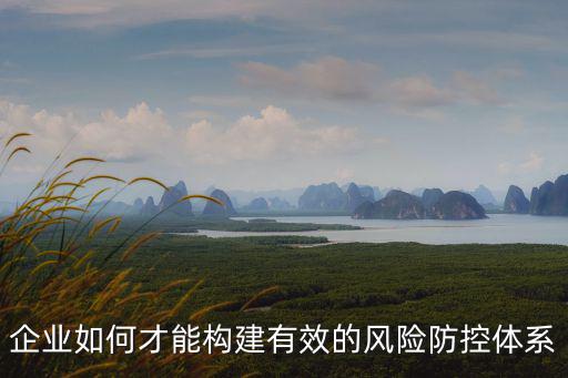企業如何才能構建有效的風險防控體系