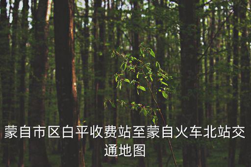 蒙自市區白平收費站至蒙自火車北站交通地圖