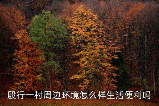 殷行一村周邊環境怎么樣生活便利嗎