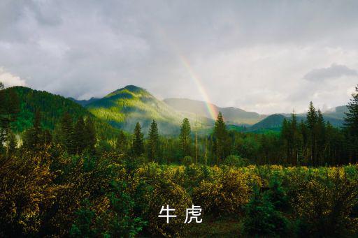  牛 虎