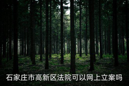 石家莊市高新區(qū)法院可以網(wǎng)上立案嗎