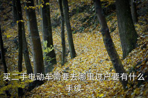 買二手電動(dòng)車需要去哪里過戶要有什么手續(xù)