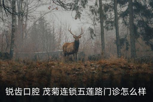 銳齒口腔 茂菊連鎖五蓮路門診怎么樣