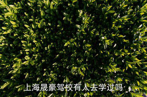上海晟豪駕校有人去學(xué)過嗎