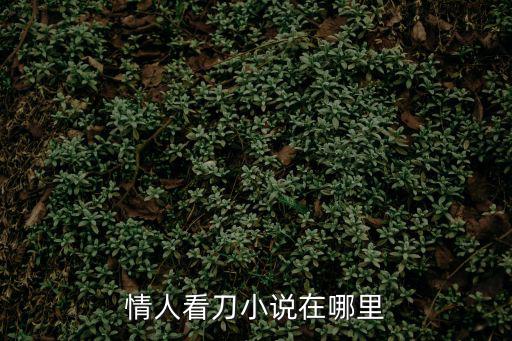 情人看刀小說在哪里