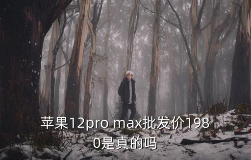 蘋果12價格表官網(wǎng)報價，2012年121月份蘋果4s店報價多少
