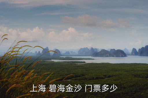 上海 碧海金沙 門票多少