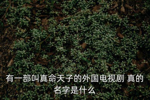 有一部叫真命天子的外國電視劇 真的名字是什么