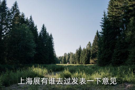 上海展有誰去過發(fā)表一下意見