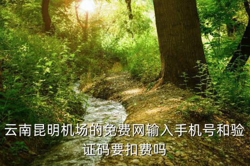 免費機場，云南昆明機場的免費網輸入手機號和驗證碼要扣費嗎