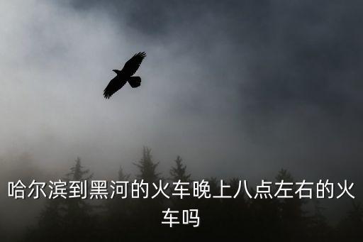 哈爾濱到黑河的火車晚上八點左右的火車嗎