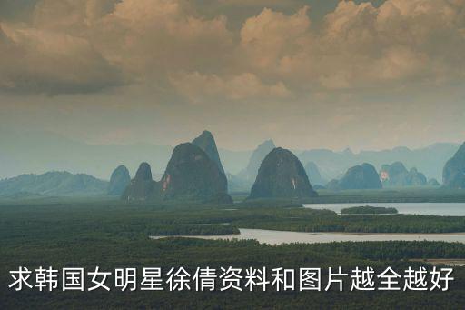 求韓國女明星徐倩資料和圖片越全越好