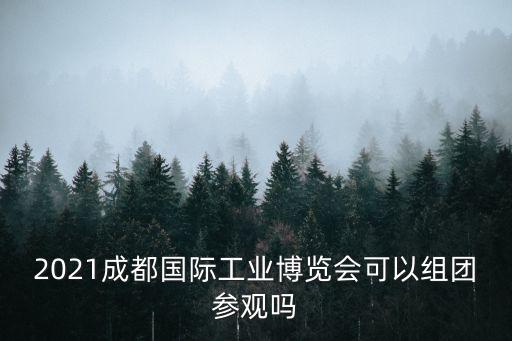 中國(guó)工業(yè)博覽會(huì)，中國(guó)工博會(huì)對(duì)于一個(gè)會(huì)議有什么弊嗎