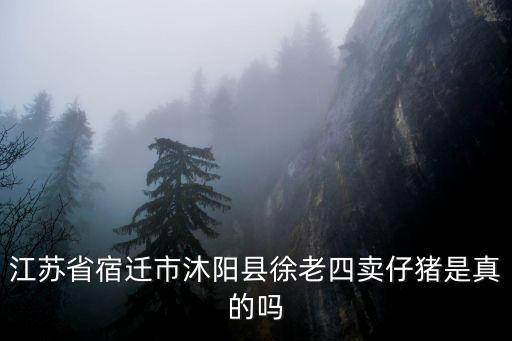 江蘇省宿遷市沐陽縣徐老四賣仔豬是真的嗎