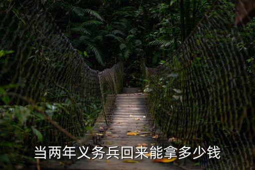 義務兵兩年能拿多少錢，當兩年義務兵退伍后有多少錢
