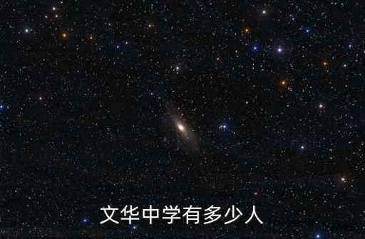 文華中學有多少人