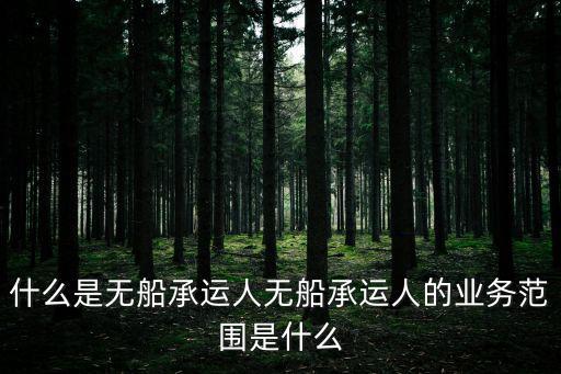 什么是無船承運(yùn)人無船承運(yùn)人的業(yè)務(wù)范圍是什么