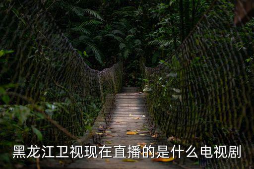 黑龍江衛視現在直播的是什么電視劇