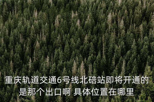 北碚站，北碚火車站在哪
