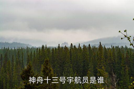 神舟十三號宇航員是誰