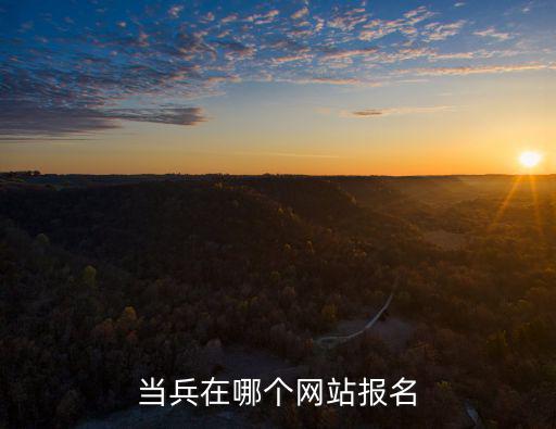 當兵在哪個網站報名