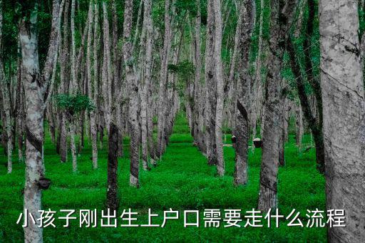 小孩子剛出生上戶口需要走什么流程