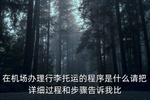 在機場辦理行李托運的程序是什么請把詳細過程和步驟告訴我比