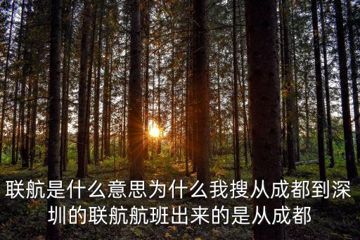 聯航是什么意思為什么我搜從成都到深圳的聯航航班出來的是從成都