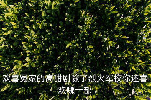 歡喜冤家的高甜劇除了烈火軍校你還喜歡哪一部