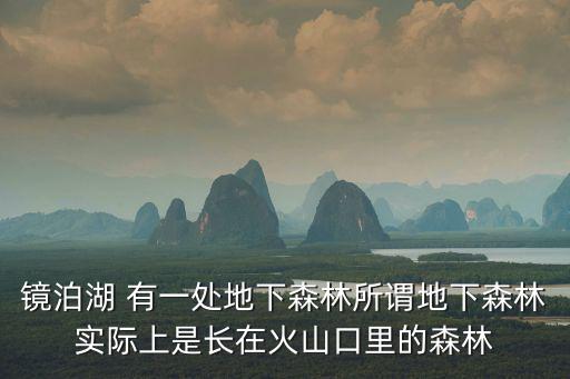 鏡泊湖 有一處地下森林所謂地下森林實(shí)際上是長(zhǎng)在火山口里的森林