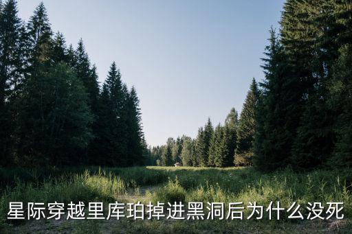 星際穿越導(dǎo)演，星際穿越導(dǎo)演是誰