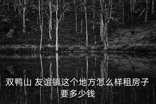 雙鴨山 友誼鎮(zhèn)這個(gè)地方怎么樣租房子要多少錢