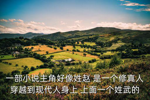 一部小說主角好像姓趙 是一個修真人穿越到現代人身上 上面一個姓武的