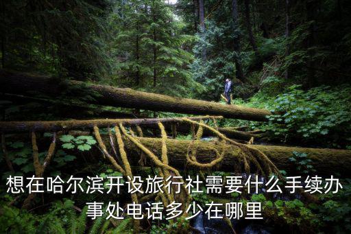 想在哈爾濱開設旅行社需要什么手續辦事處電話多少在哪里