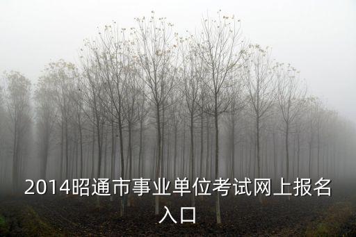 2014昭通市事業(yè)單位考試網(wǎng)上報名入口