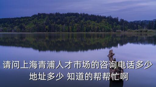 青浦人才服務中心，請問上海青浦人才市場的咨詢電話多少 地址多少 知道的幫幫忙啊