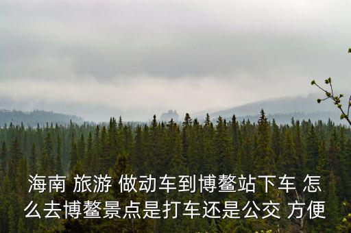 海南 旅游 做動車到博鰲站下車 怎么去博鰲景點是打車還是公交 方便