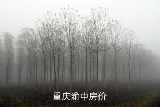 渝中區房價，求重慶主城地區房價在主城區每平米3000到3500左右的房子啊最好