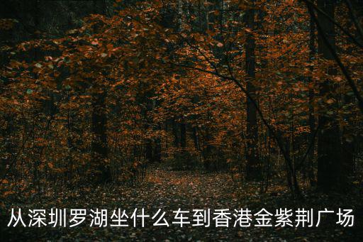 從深圳羅湖坐什么車到香港金紫荊廣場