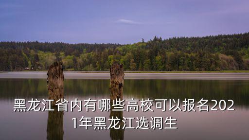 黑龍江選調生，黑龍江選調生好考嗎之后發展怎么樣