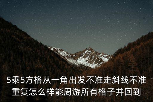 5乘5方格從一角出發不準走斜線不準重復怎么樣能周游所有格子并回到
