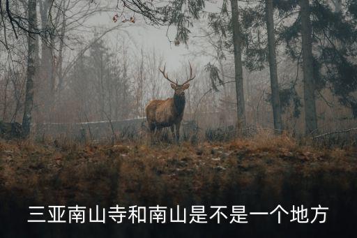 三亞南山寺，三亞南山寺天涯海角大小洞天