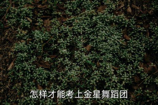 怎樣才能考上金星舞蹈團