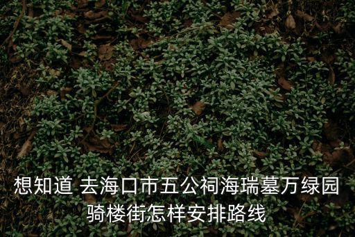 海口海瑞墓，請問海口的朋友去海瑞墓要坐什么車去